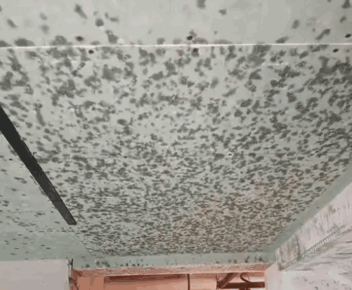 如何有效处理房屋漏水问题？这种处理方式的效果如何长期保持？